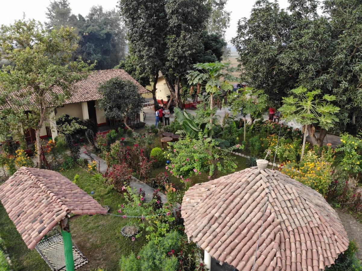 Bardiya Eco Friendly Homestay Exterior foto
